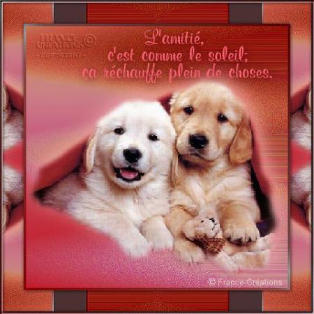 l amitie