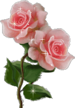 pour toi mon amie mina