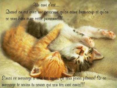 moi je me sens tres tres bien avec mon amie mina trop gentille cette fille je l adore trop bisous ma poulette